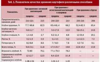 При, какой температуре может замерзнуть картошка. Как не допустить замерзание запасов