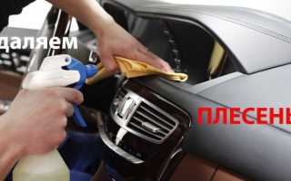 Как справиться с плесенью в багажнике автомобиля