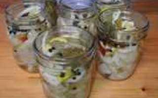 Щука маринованная в домашних условиях: простые и быстрые рецепты приготовления